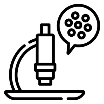 Air Quality and Mold Testing