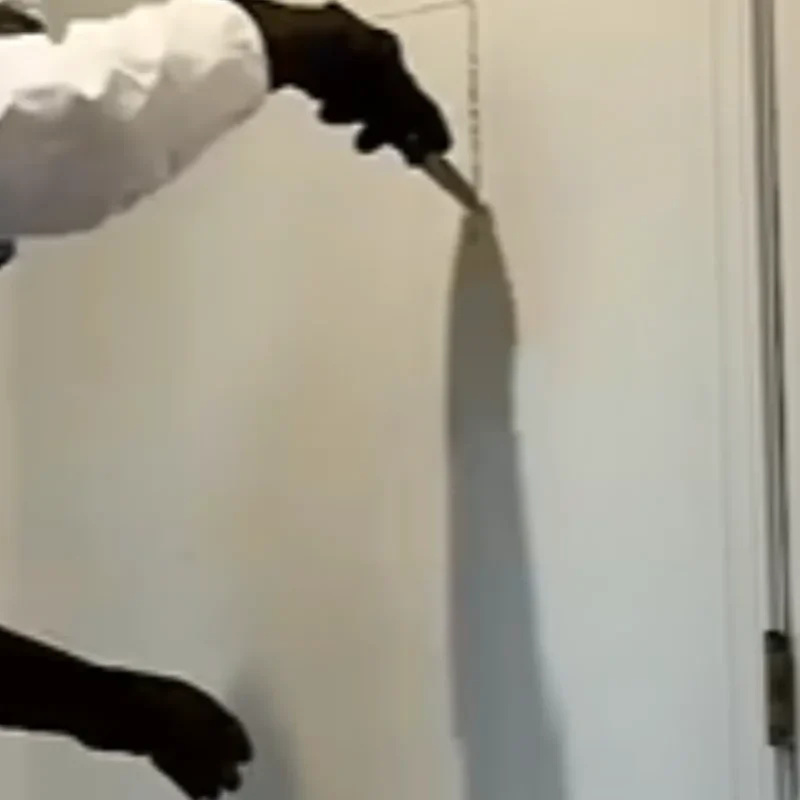 Our experts finding all hidden mold.