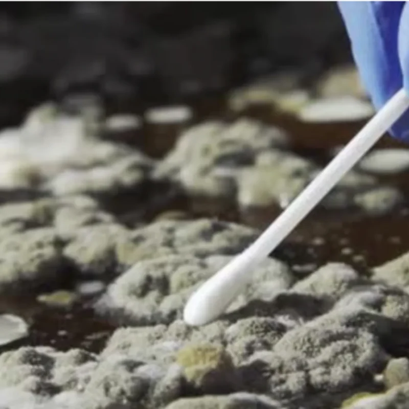 Collecting sample for Mold Testing West Palm Beach