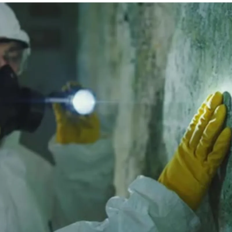 Our team is inspecting a mold-affected area.